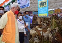 Govt Plans To Establish 800 New Dairy Units: LG