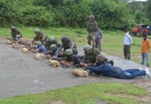 Week-Long Firing Practice for Over 5,500 VDGs Begins in JK’s Reasi