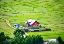 Only 400 Odd People Will Be Affected By New Land Laws: Govt