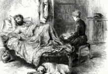 The Kashmir Typhus