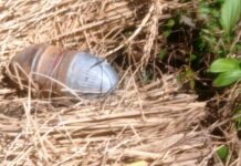Grenade Found, Defused