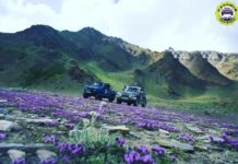 Why We Must Revive Our Bonds With Nature?
