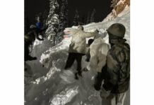 14 Civilians Stuck In Twin Avalanches Rescued: Army