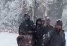 Snowfall: Locals Carry Pregnant Woman On Shoulders, Horse To Reach Hospital