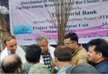 Kashmir Willow To Get GI Tag