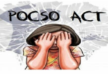 POCSO Charges Among 20 Cases Against Independent Candidate From Anantnag-Rajouri