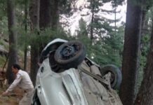Two Dead, 7 Injured As Car Falls Into Gorge