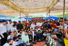 Youth Oriented Policies Will Bring Change: DC Pulwama