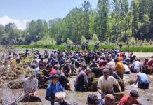 Is the Panzath Festival the Purest Expression of Grassroots Environmentalism?