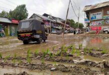 In Protest, Kupwara Residents Plant Paddy On Potholed Road