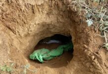 Security Forces Recover ‘Explosive’ Along IB