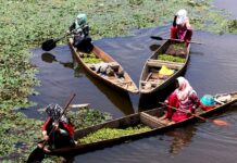 3,496,638 Jammu Kashmir Women Have Lifted PMJDY Loans