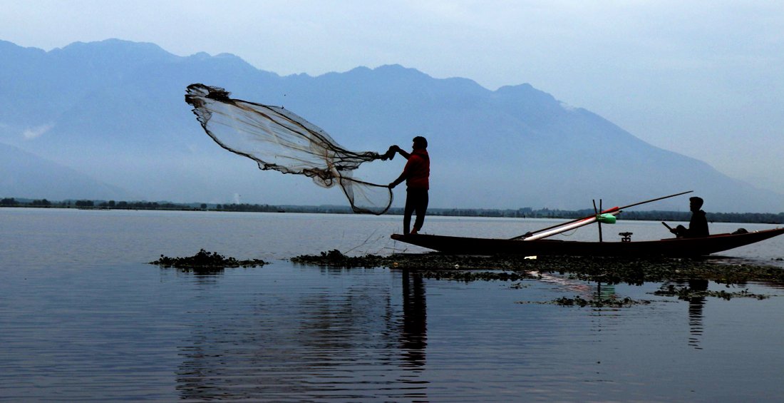 Extreme Dry Spell Sparks Considerations Over Fish Manufacturing in Kashmir