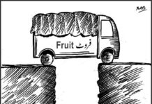 Apple Cart In Mess: Thousands of Fruit-Laden Trucks Parked On Highway