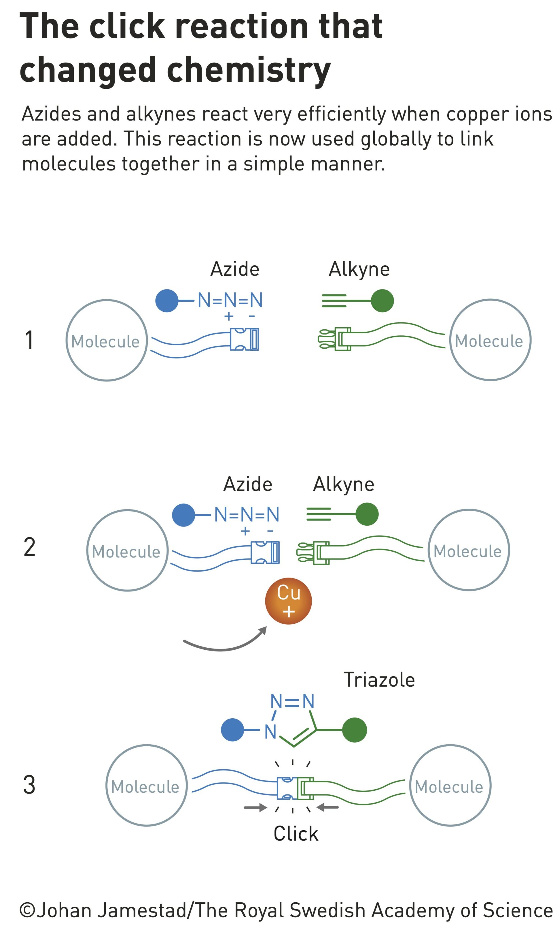 Nobel Prize 2022 (Chemistry): How Their Functional Chemistry Works ...