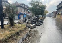 Demolition, Reconstruction Of Uptown Footpaths Puzzles People