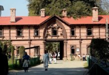 1908: Kashmir’s Residency Garden