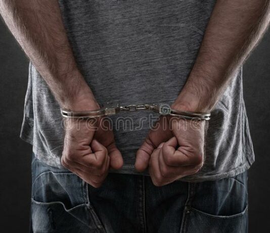 South Kashmir: Police Detain Two Repeat Drug Peddlers Under PIT NDPS Act