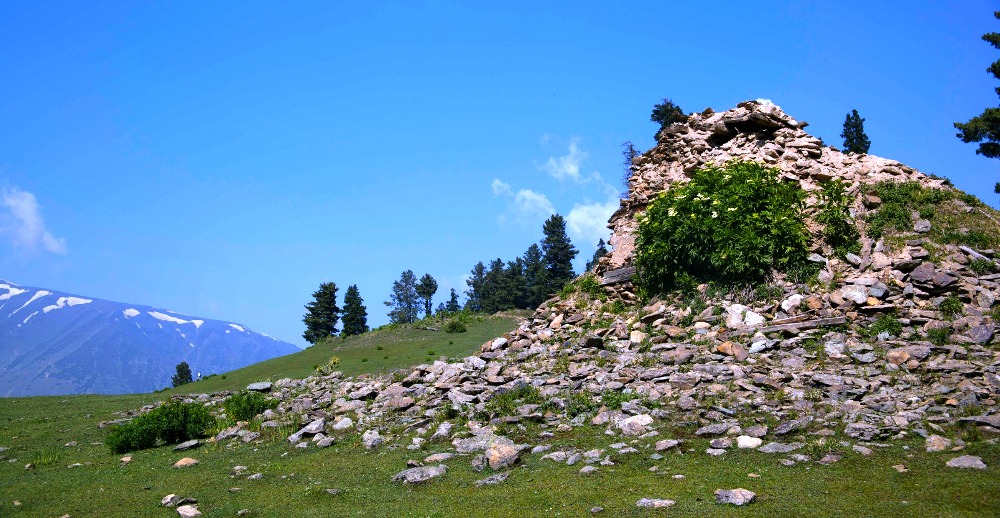 Ruins of a watch tower at Danwas Upper Tangmarg. Pic Mahmood Ahmad