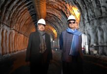 Nitin Gadkari Meets Karan Singh in Srinagar, Discuss Road, Highway Projects in JK