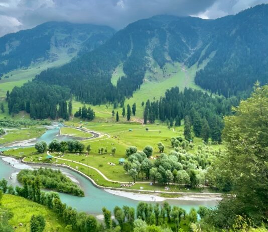 DFO Seeks Report on New Construction in Pahalgam Forest Zone