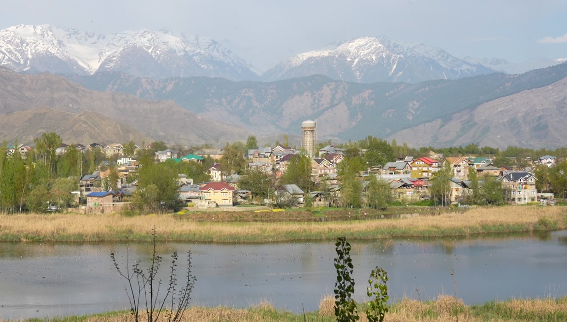 Are Kashmir’s Wetlands Shedding their Ecological Wealth? A Curated Listing