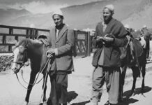 For Vote, Pahalgam Ponywallahs Kept Tourists Waiting