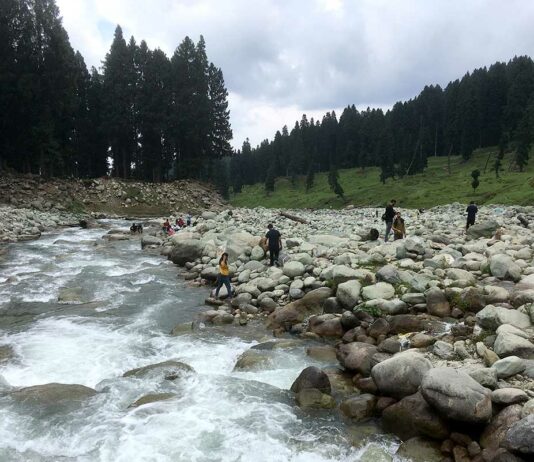 Rs 12.30 Crore Environmental Compensation Still Unpaid for Illegal Shaliganga Mining