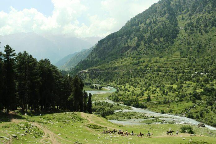 The Gushing Waters Of Lidder River Give Pahalgam A Music Of Its Own 