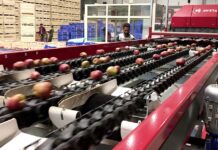 Apple In Cold Chain