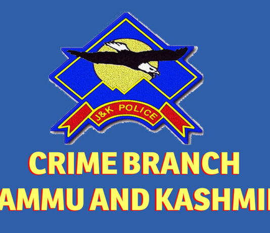 CRIME-BRANCH Rep
