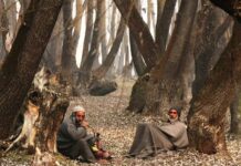 Has Elder Abuse Become Kashmir’s Unspoken Social Reality?