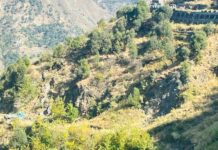 Between-the-two-alighnments-of-a-200-meter-stretch-between-Assar-and-Trungal-lot-of-accidents-are-.jpg
