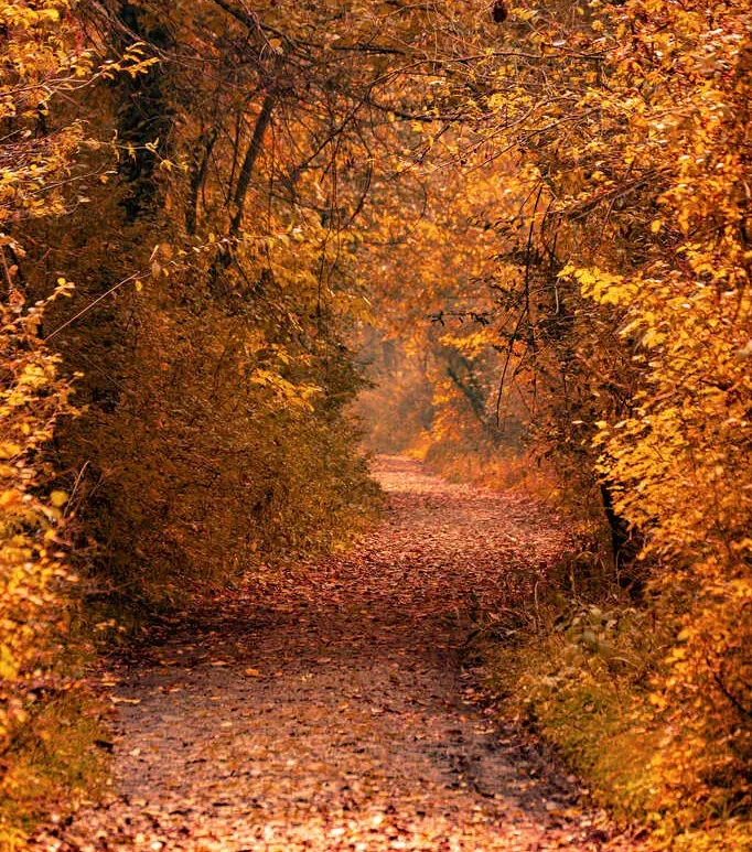 essay on autumn in kashmir