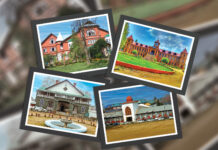 Srinagar Colleges