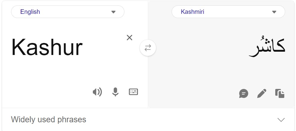 Microsoft Allows English to Kashmiri Translation, Particulars Right here