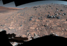 What Phoenix Found On The Mars?