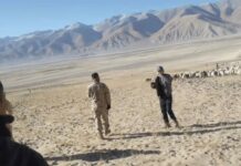 India, China Implementing Ladakh Standoff Resolutions Effectively: Chinese Defence Ministry Ladakh Nomads Clash with Chinese PLA, Video Surfaces Online( screen grab of viral video)