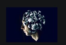Dissociation, mind fragmentation