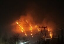A fire broke out in multiple areas of the Zabarwan range in Srinagar district, located in central Kashmir on March 18, 2024.