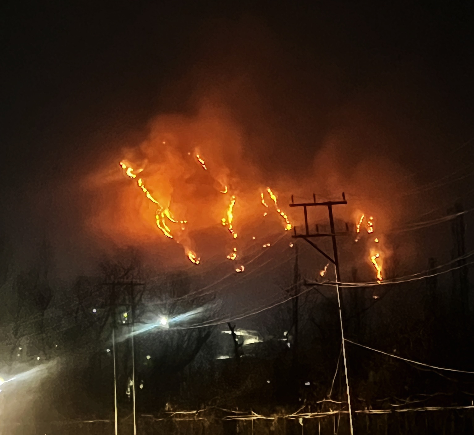 A fire broke out in multiple areas of the Zabarwan range in Srinagar district, located in central Kashmir on March 18, 2024.