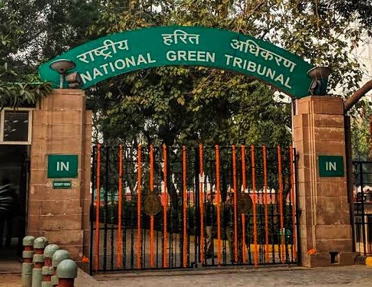 NGT Notice to Jammu and Kashmir Government Over Alouchibagh STP, Locals Cite Flood Risk and Siting Violations National Green Tribunal (NGT)