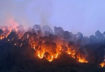 Dangerous Winds Return to Southern California as New Wildfires Break Out