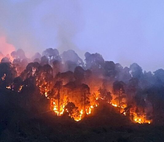Jammu Kashmir: Massive Blaze Engulfs Forest Area