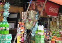 Srinagar Sees Surge in Garland Sales Ahead of Assembly Polls