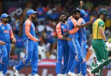 India Wins T20 World Cup Final, Beats South Africa by 7 Runs