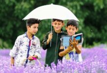 Global Kashmiri Connect Initiative Spotlights Young Scholars Kashmiri-Global-Connect-initiative-is-aimed-at-helping-Kashmiri-students-get-global-exposure-by-connecting-them-with-world-class-sector-specialists-in-academics