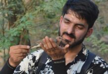 Kashmiri Bird Researcher Secures Fully Funded PhD Scholarship in Australia