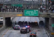 Why did Los Angeles Erupt in Protests and Stone Pelting?