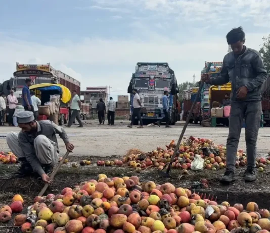 Jammu Kashmir’s Post-harvest Apple Loss Estimated at 9.51 Per Cent, Lok Sabha told